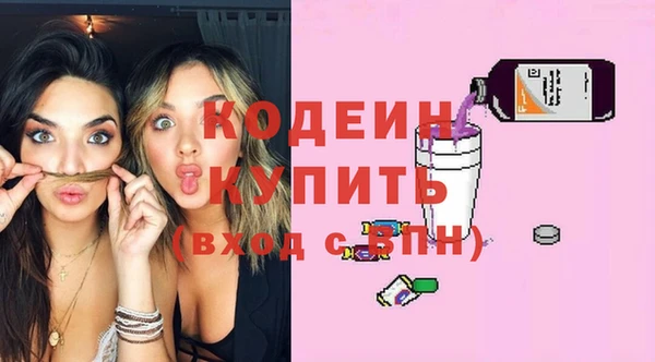 гашик Каменка