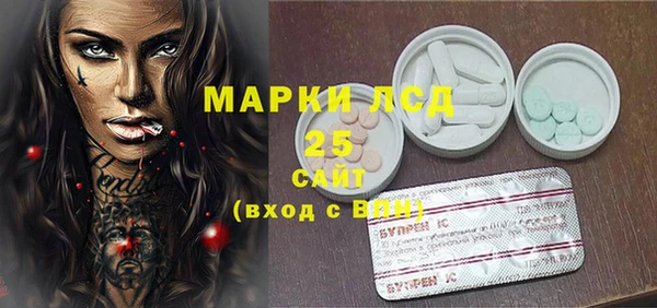 сатива Новодвинск