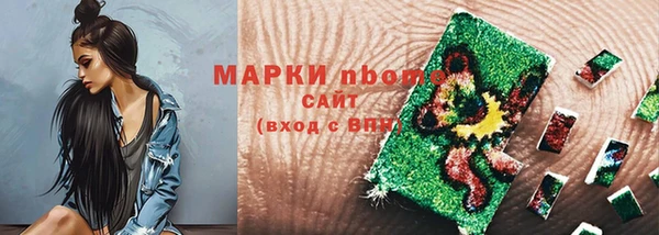 шишки Новозыбков